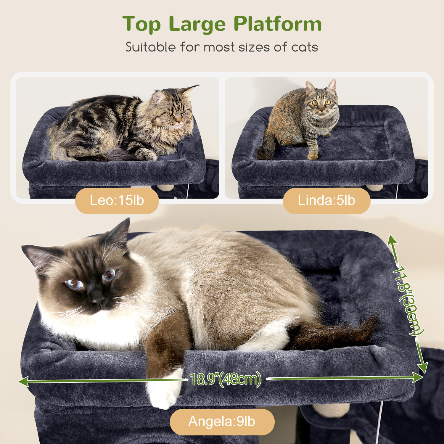 globlazer-f66-arbre-chat-66-pouces-gris-fonc image 3