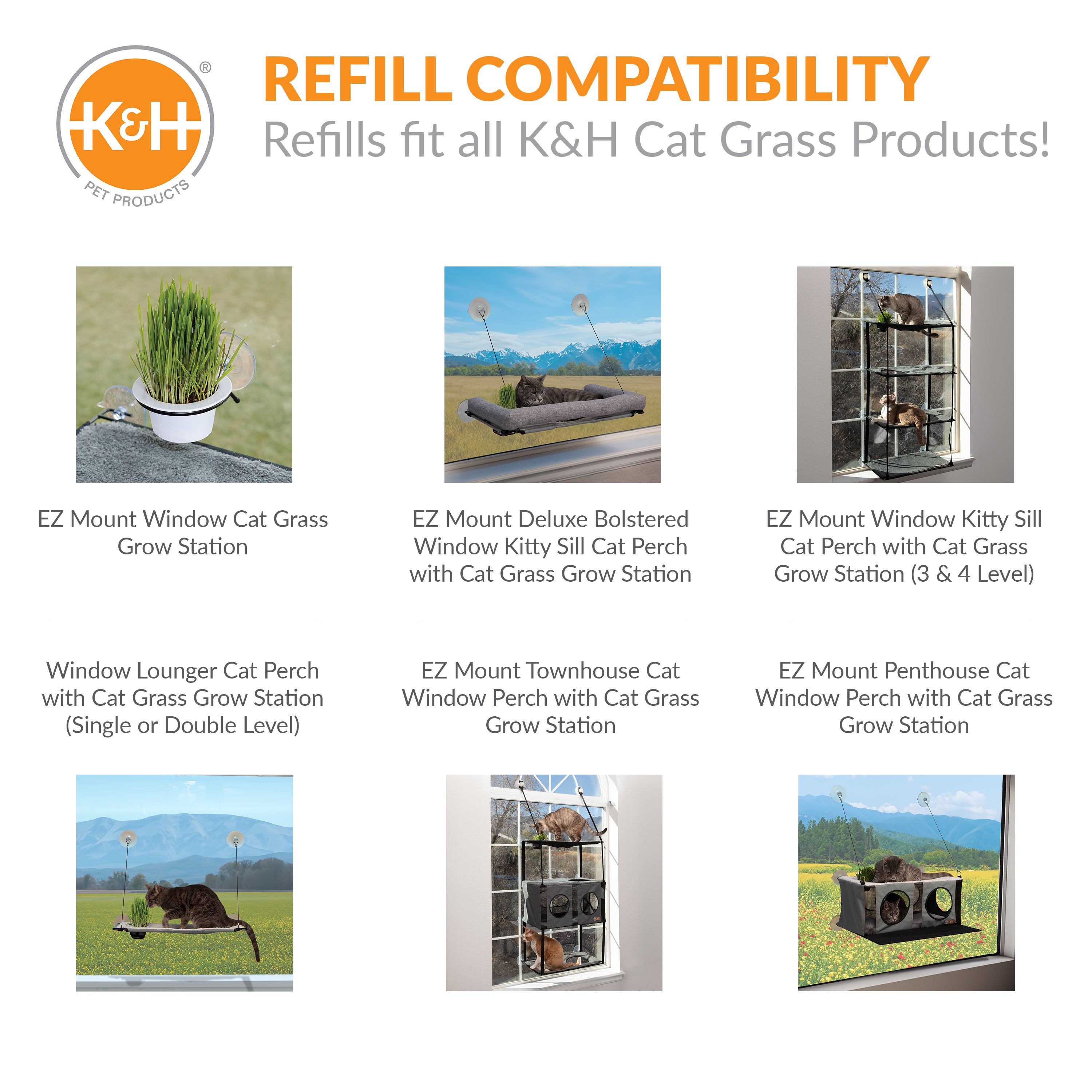 k-h-cat-grass-grow-station-recharge-herbe-chat-avoine-lot-2 image 5