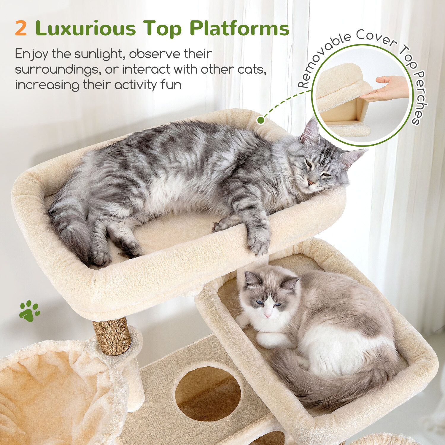 globlazer-f72g-arbre-chat-beige-72-pouces-grands-chats image 3