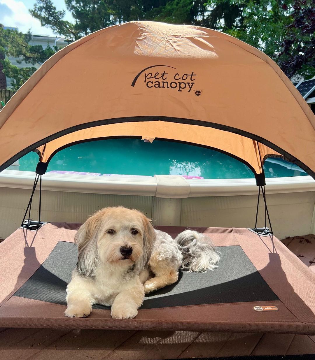 k-h-pet-canopy-pare-soleil-lit-chien-medium-25x32-d-perlant image 4