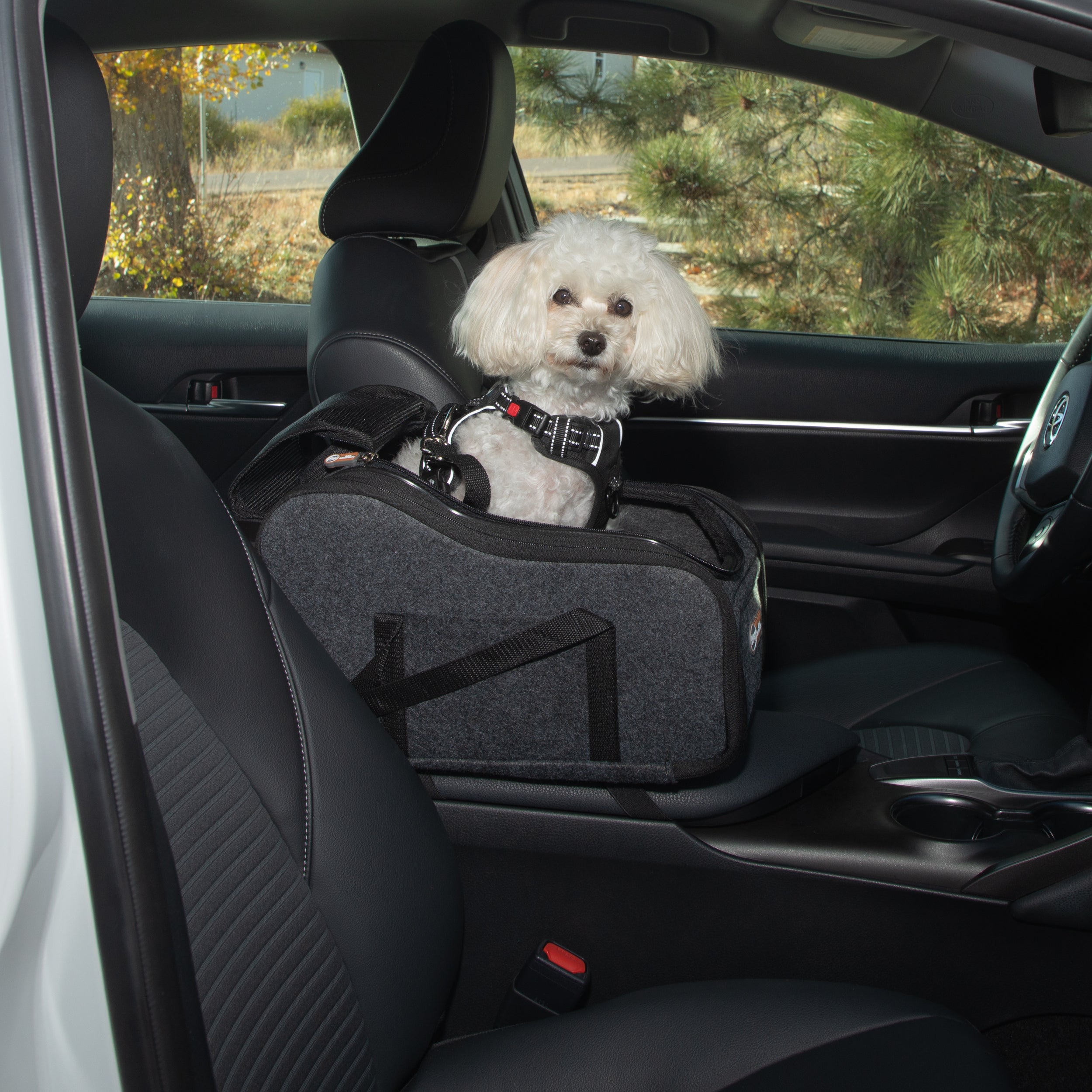 k-h-booster-si-ge-auto-chien-console-anthracite-petit image 1