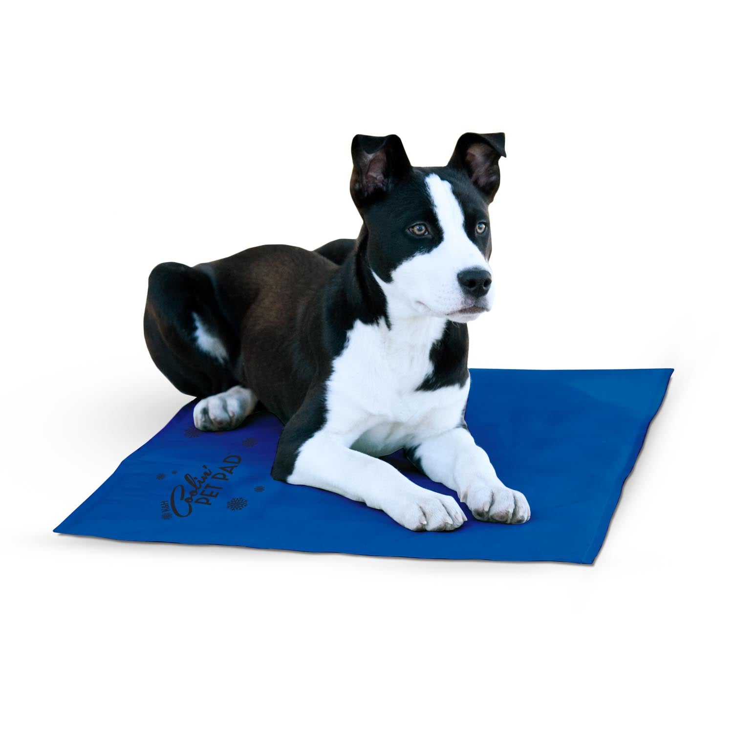 k-h-coolin-pet-pad-tapis-rafra-chissant-chien-medium-sans-gel image 1