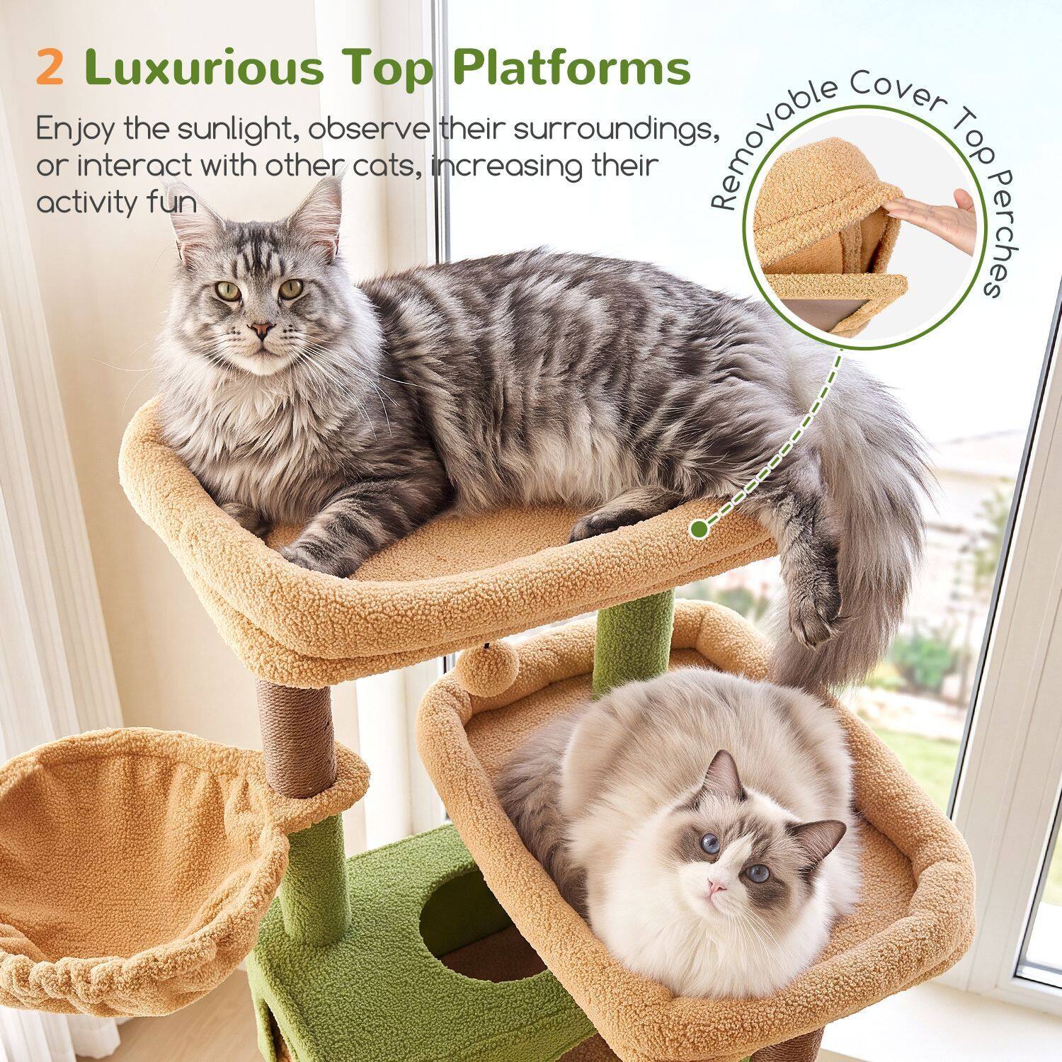 globlazer-f-series-f72g-arbre-chat-vert-cactus-183-cm image 3