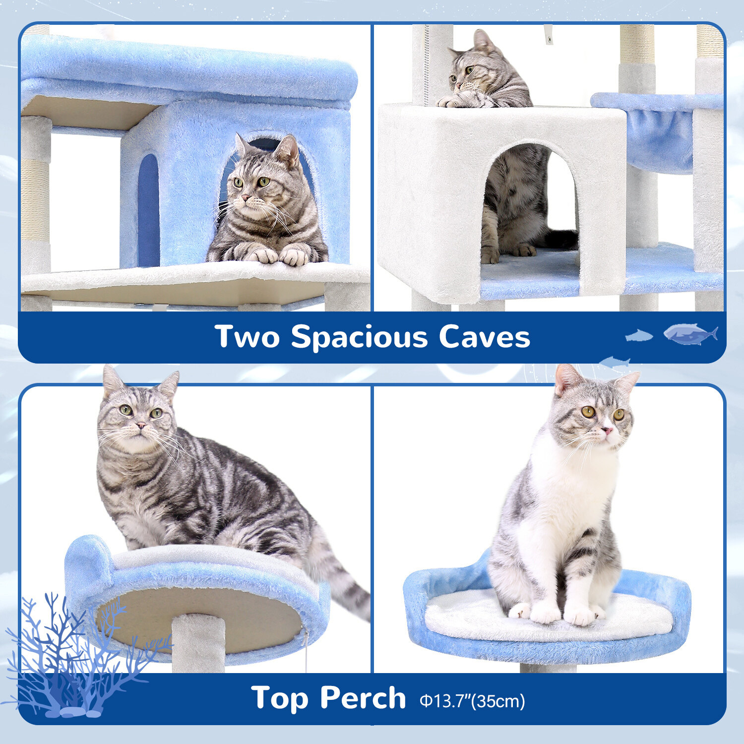 globlazer-s72-arbre-chat-bleu-oc-an-72-pouces-grand image 5