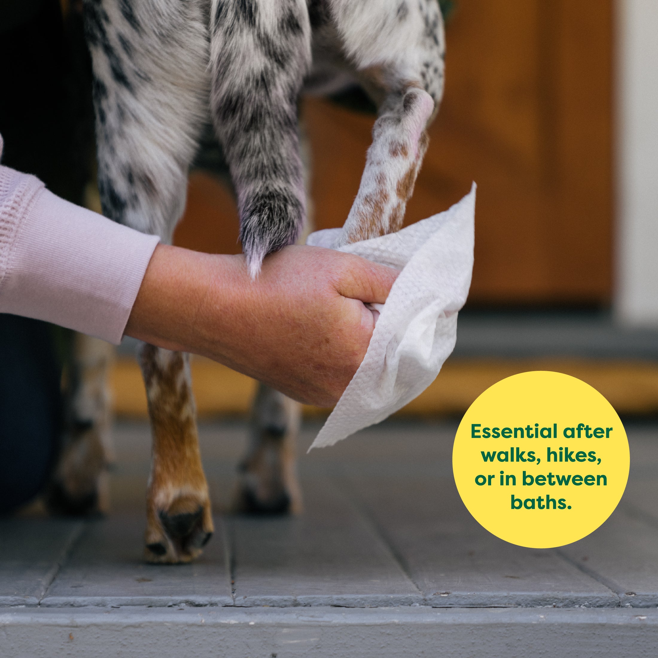 earth-rated-dog-grooming-wipes-lingettes-chien-100-pi-ces image 5