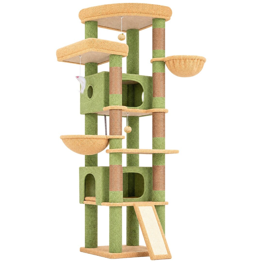 globlazer-s-series-s80c-arbre-chat-vert-cactus-80-pouces image 2