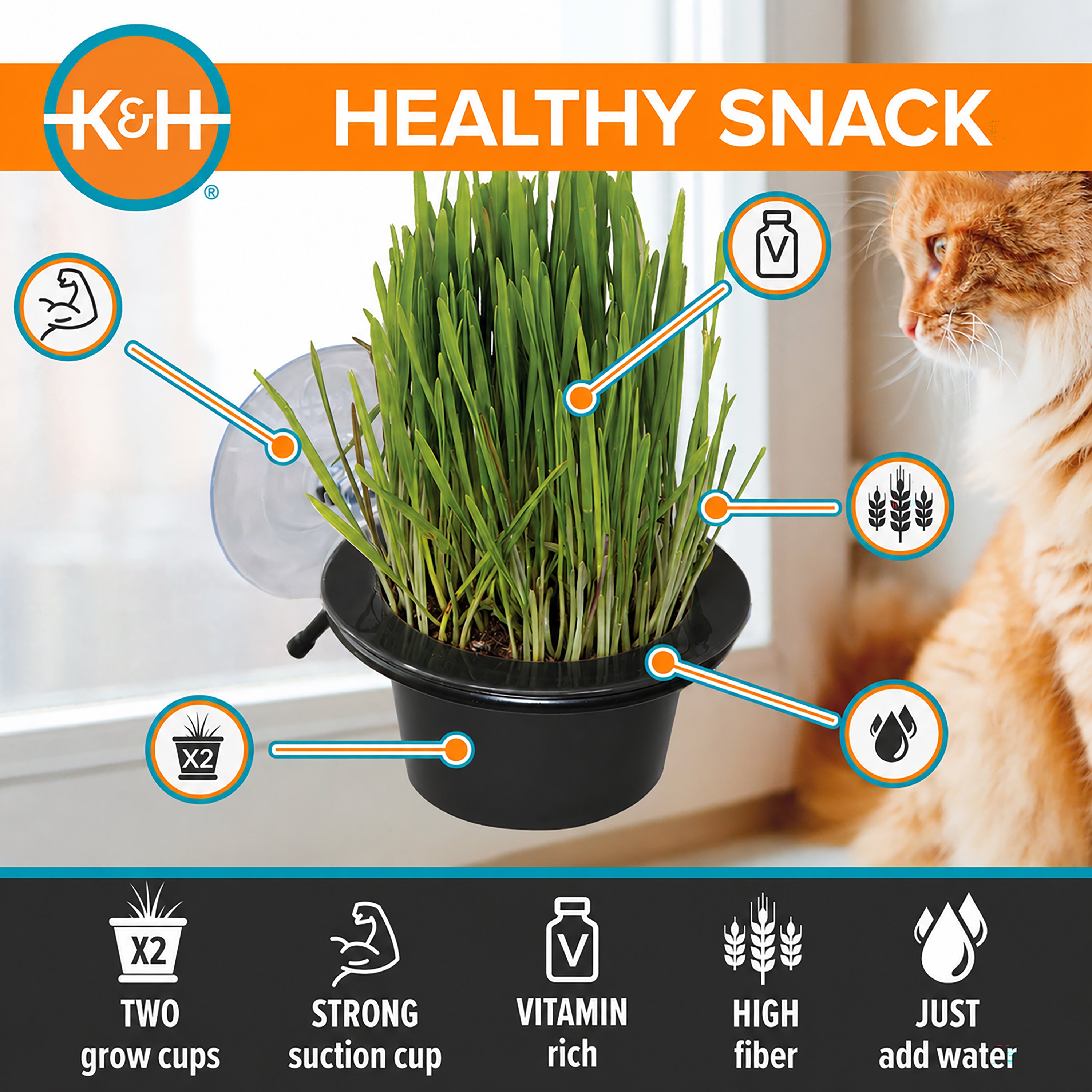 k-h-ez-mount-cat-grass-station-herbe-chat-fen-tre image 5