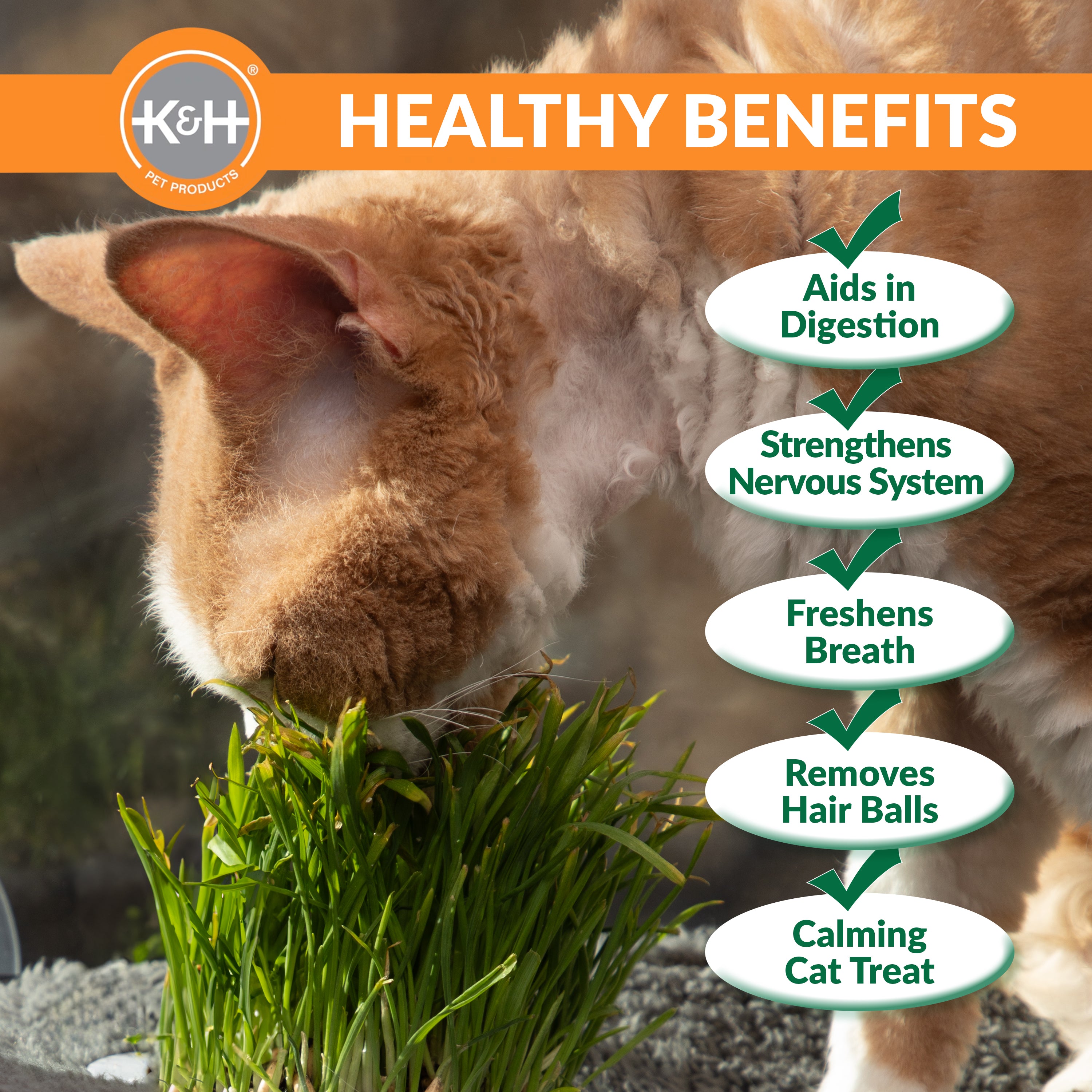 k-h-window-lounger-hamac-fen-tre-chat-herbe-simple image 5