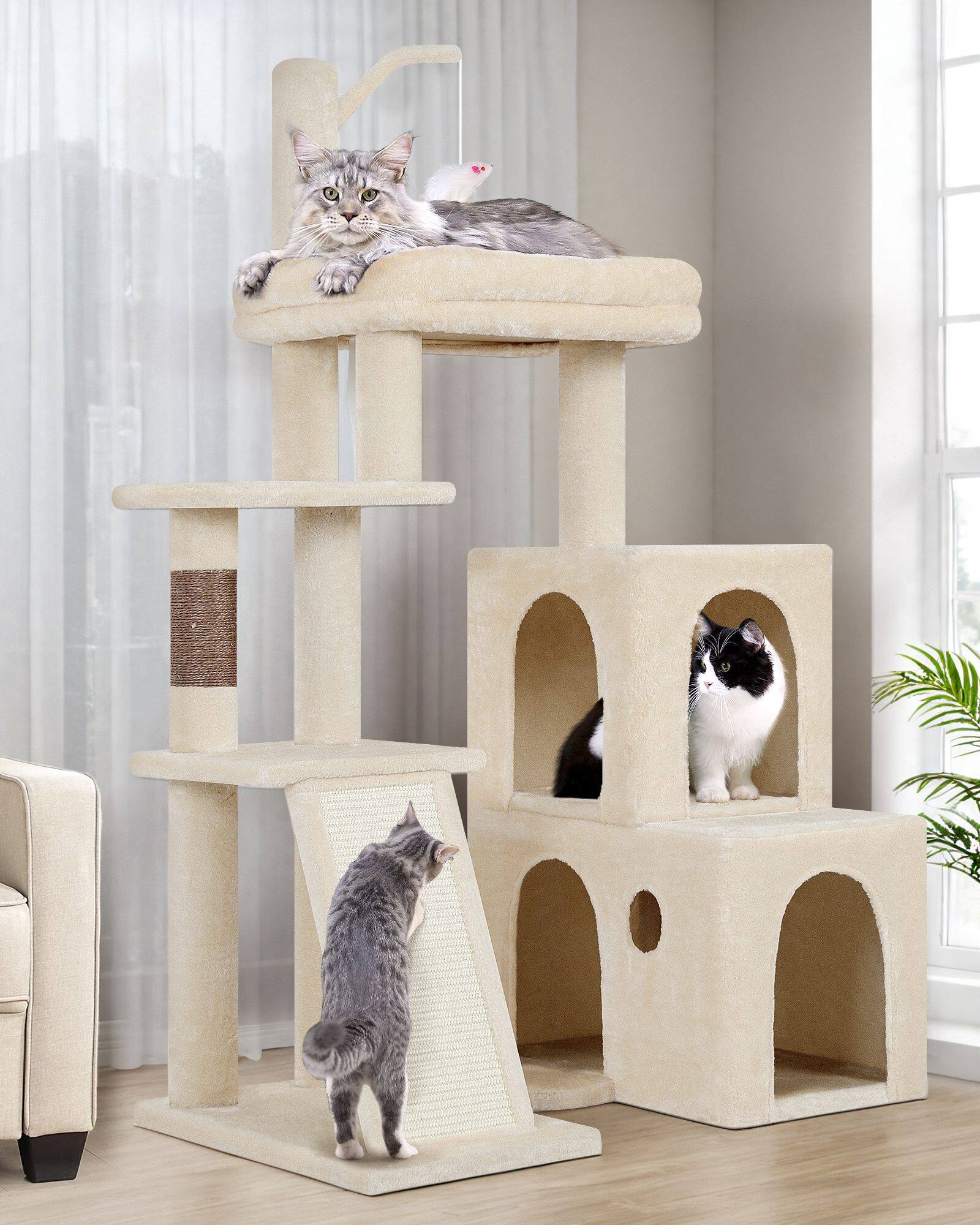 globlazer-f50-arbre-chat-beige-50-pouces-grands-chats image 3