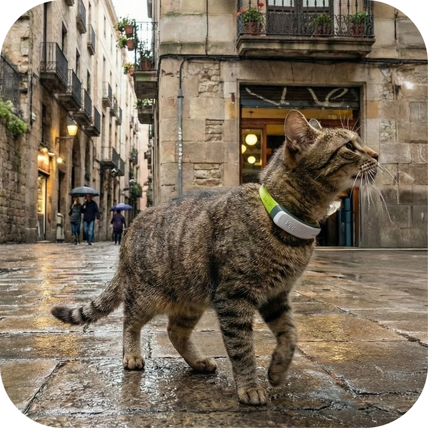 kippy-cat-traceur-gps-chat-collier-d-tachable-12-jours image 5