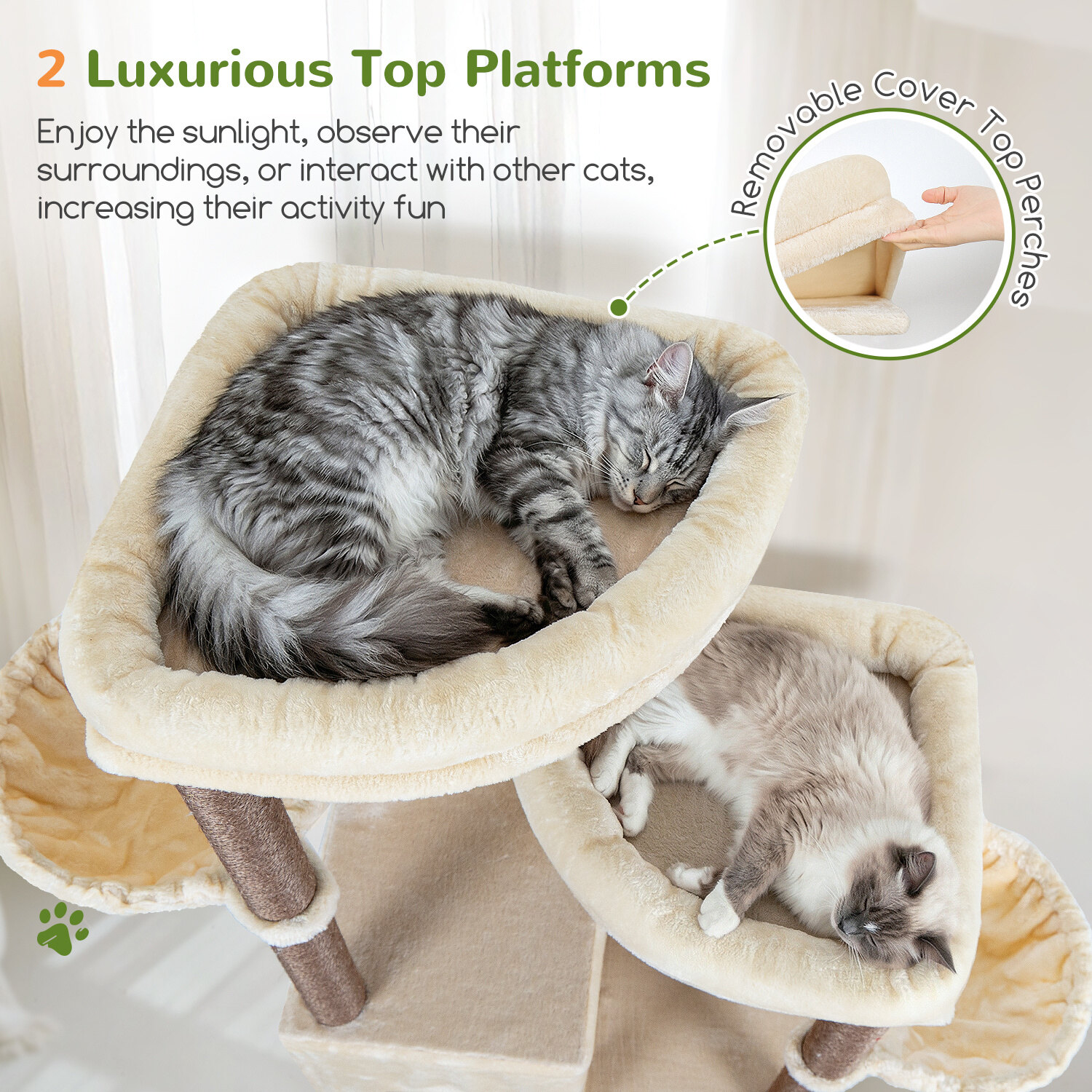 globlazer-s-series-s63-arbre-chat-beige-63-pouces-gros-chats image 3