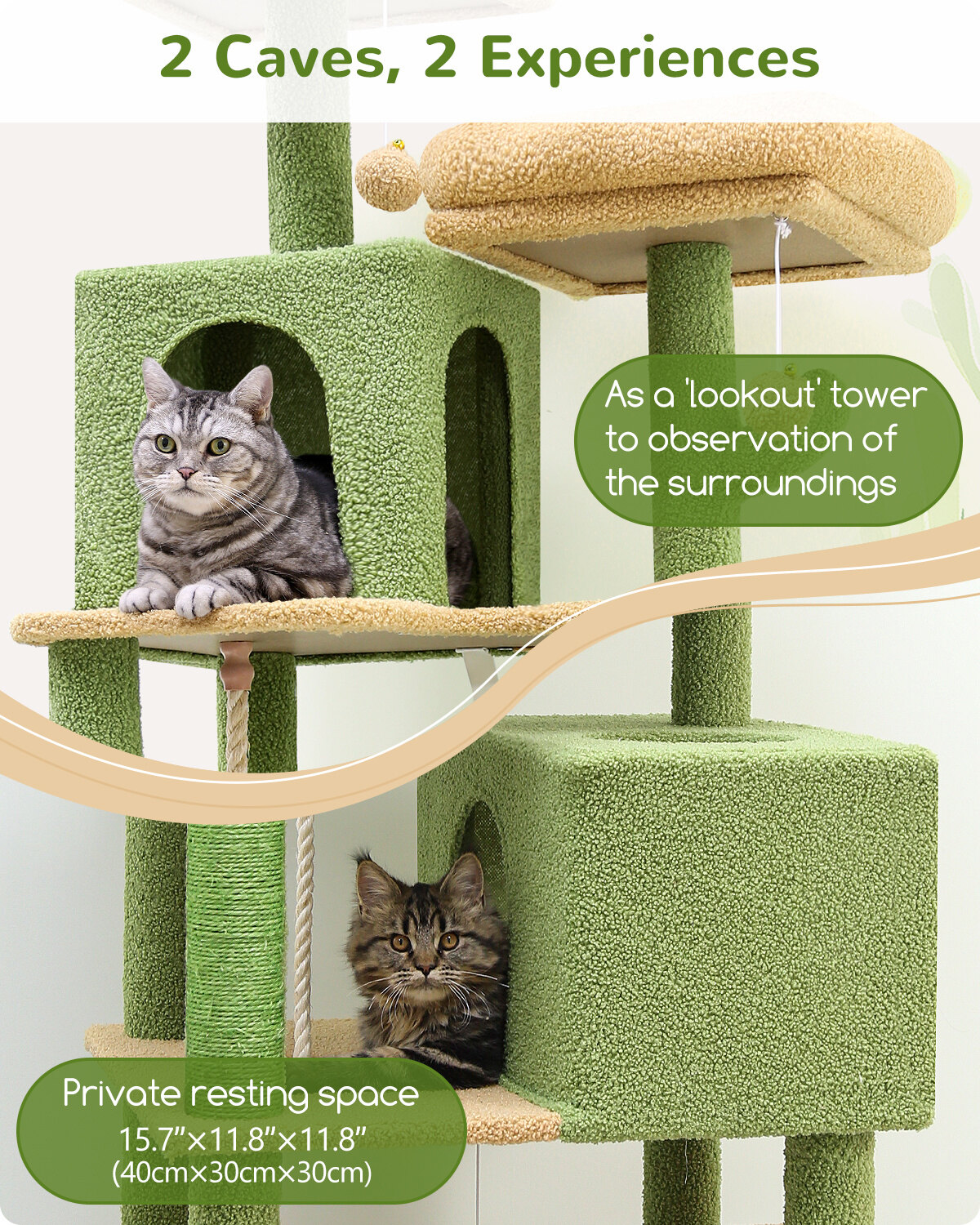 globlazer-f61c-arbre-chat-155-cm-robuste-int-rieur image 3