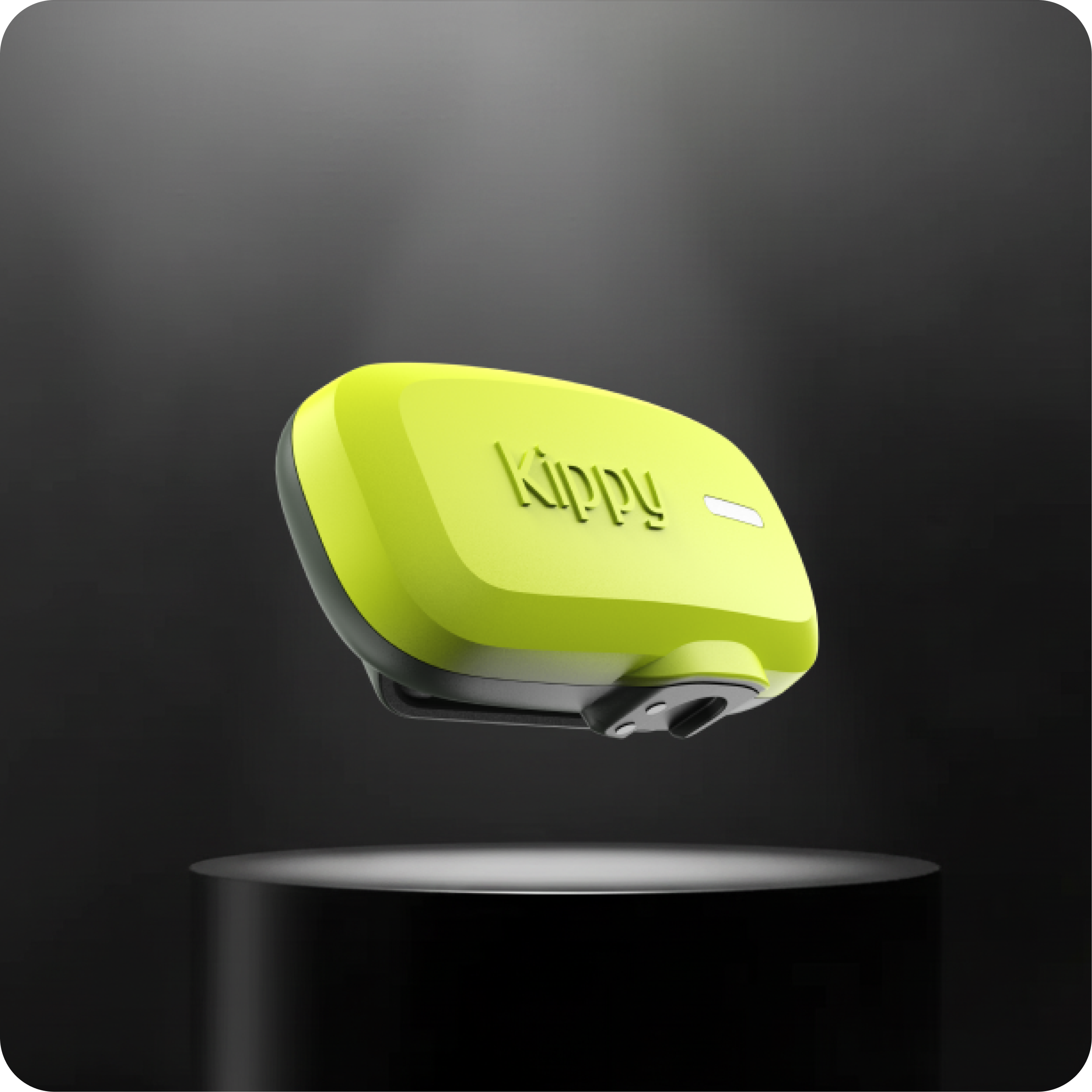 kippy-dog-traceur-gps-chien-l-ger-30g-tanche image 1
