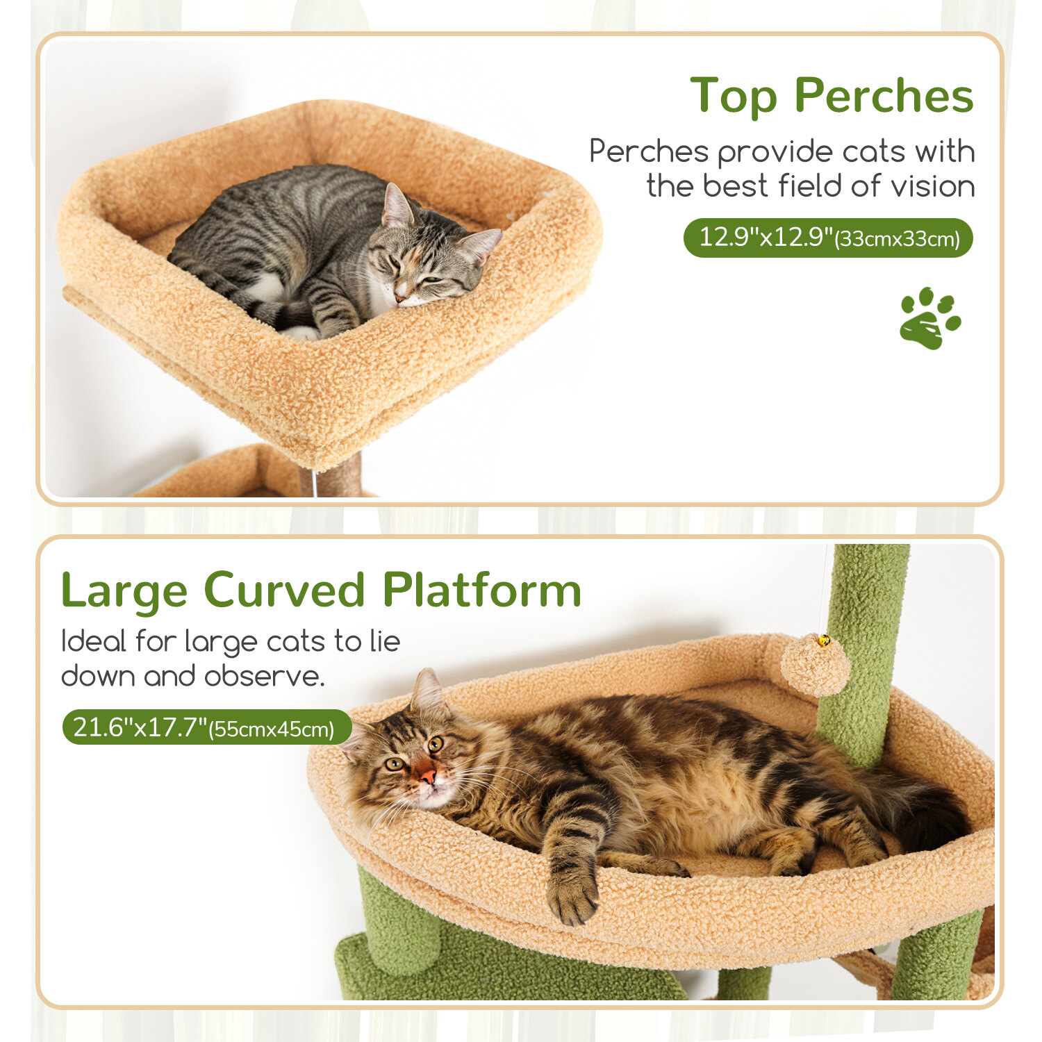 globlazer-s-series-s80-arbre-chat-vert-cactus-80-pouces image 4