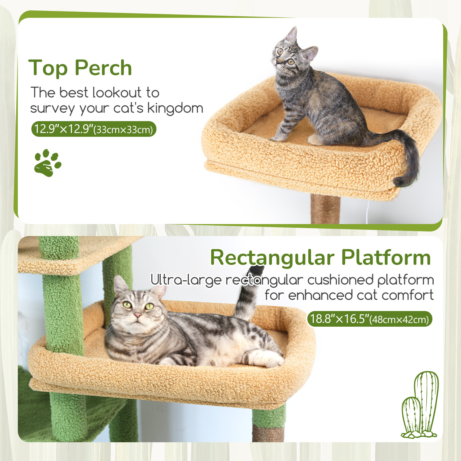 globlazer-s-series-s65-arbre-chat-robuste-vert-cactus-165-cm image 5
