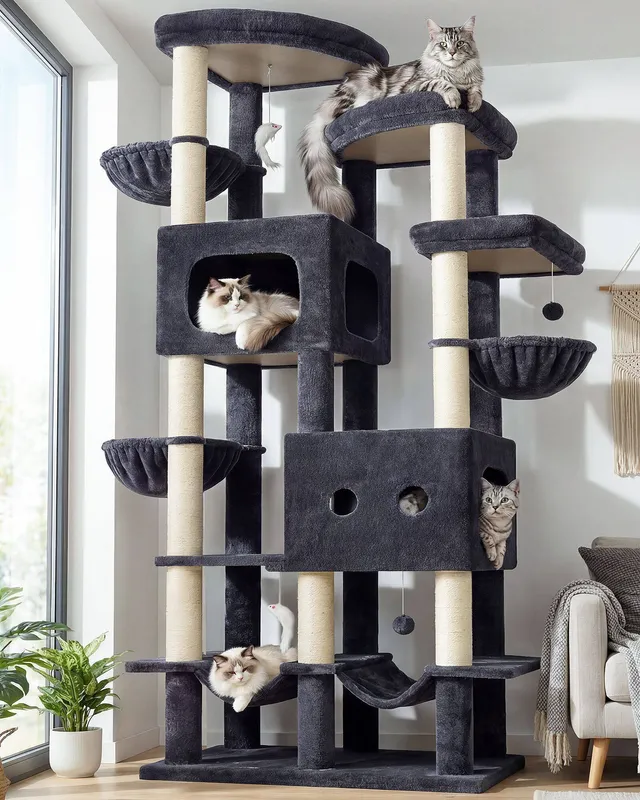 globlazer-s-series-s81-arbre-chat-gris-fonc-81-pouces-xxl image 1