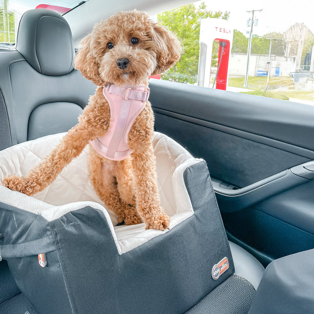 k-h-bucket-booster-si-ge-auto-chien-large-gris-cr-me image 1