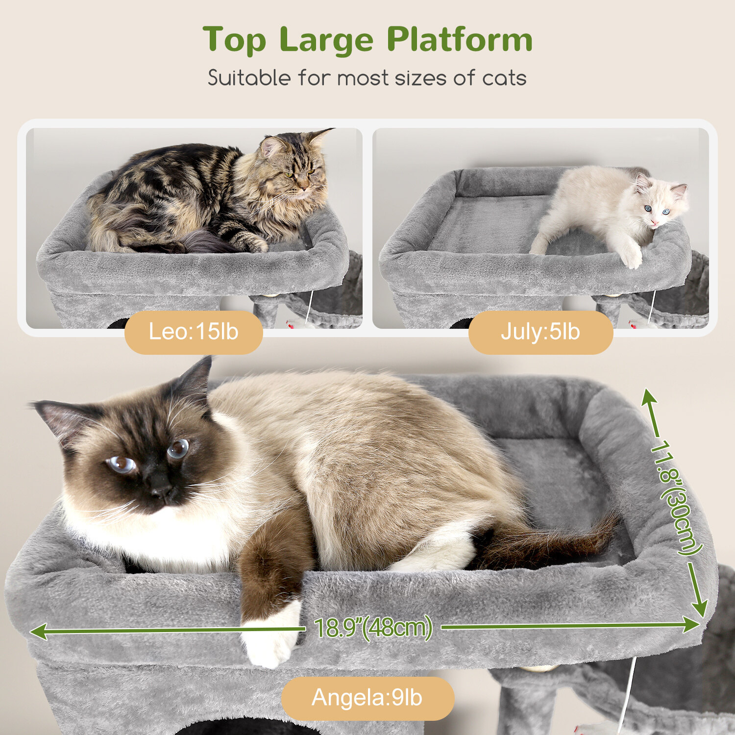 globlazer-f-series-f66-arbre-chat-gris-clair-168-cm image 3