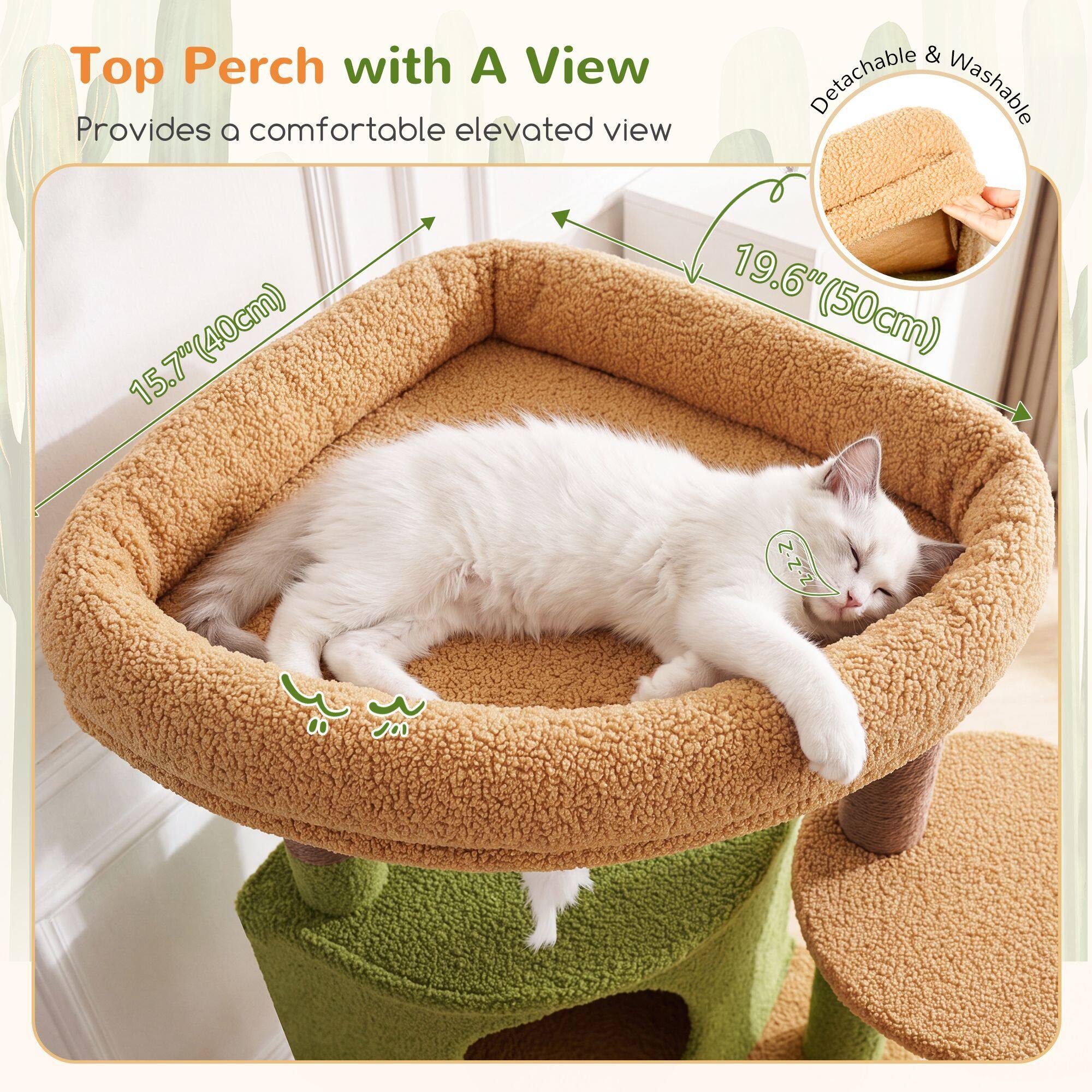 globlazer-c-series-c68-arbre-chat-angle-vert-cactus-173cm image 4
