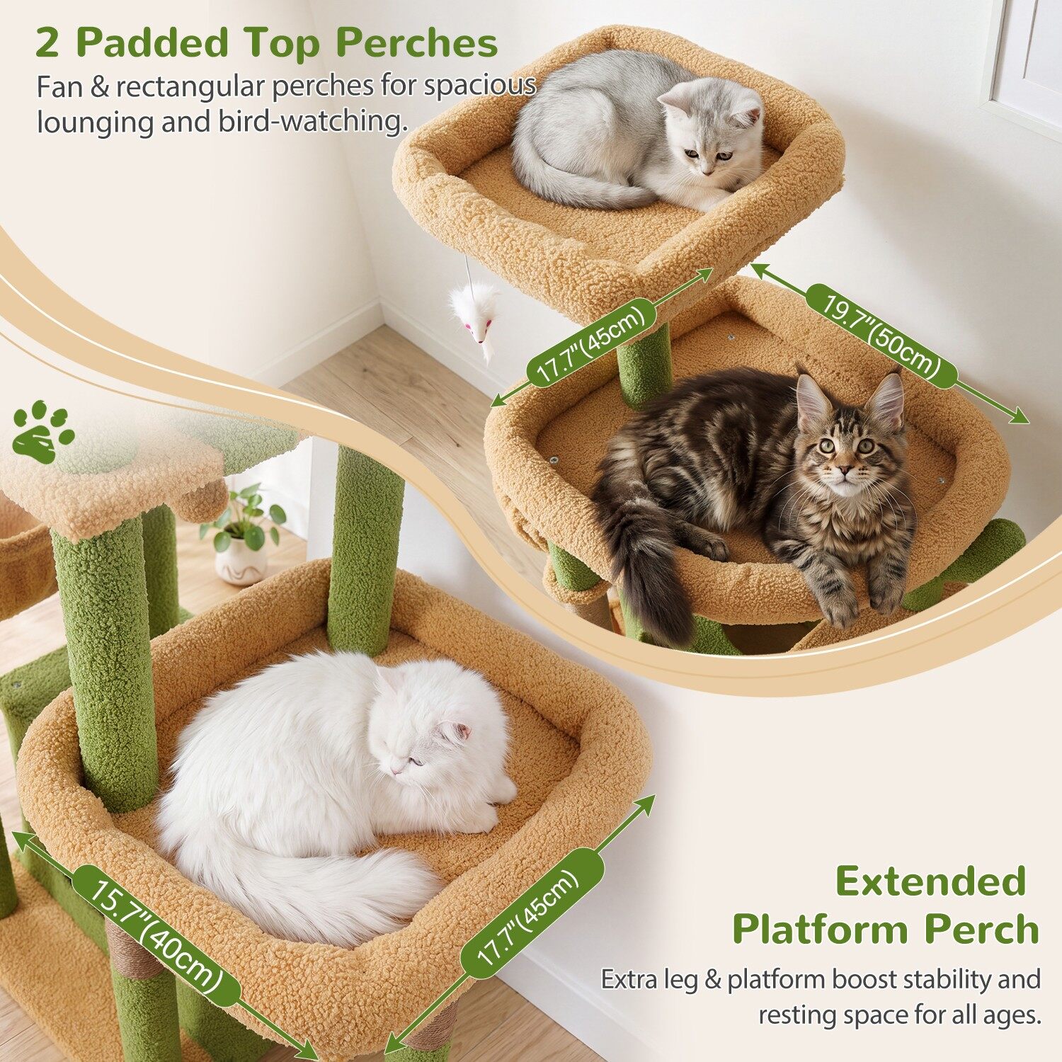 globlazer-s-series-s75-arbre-chat-cactus-vert-75-pouces image 4
