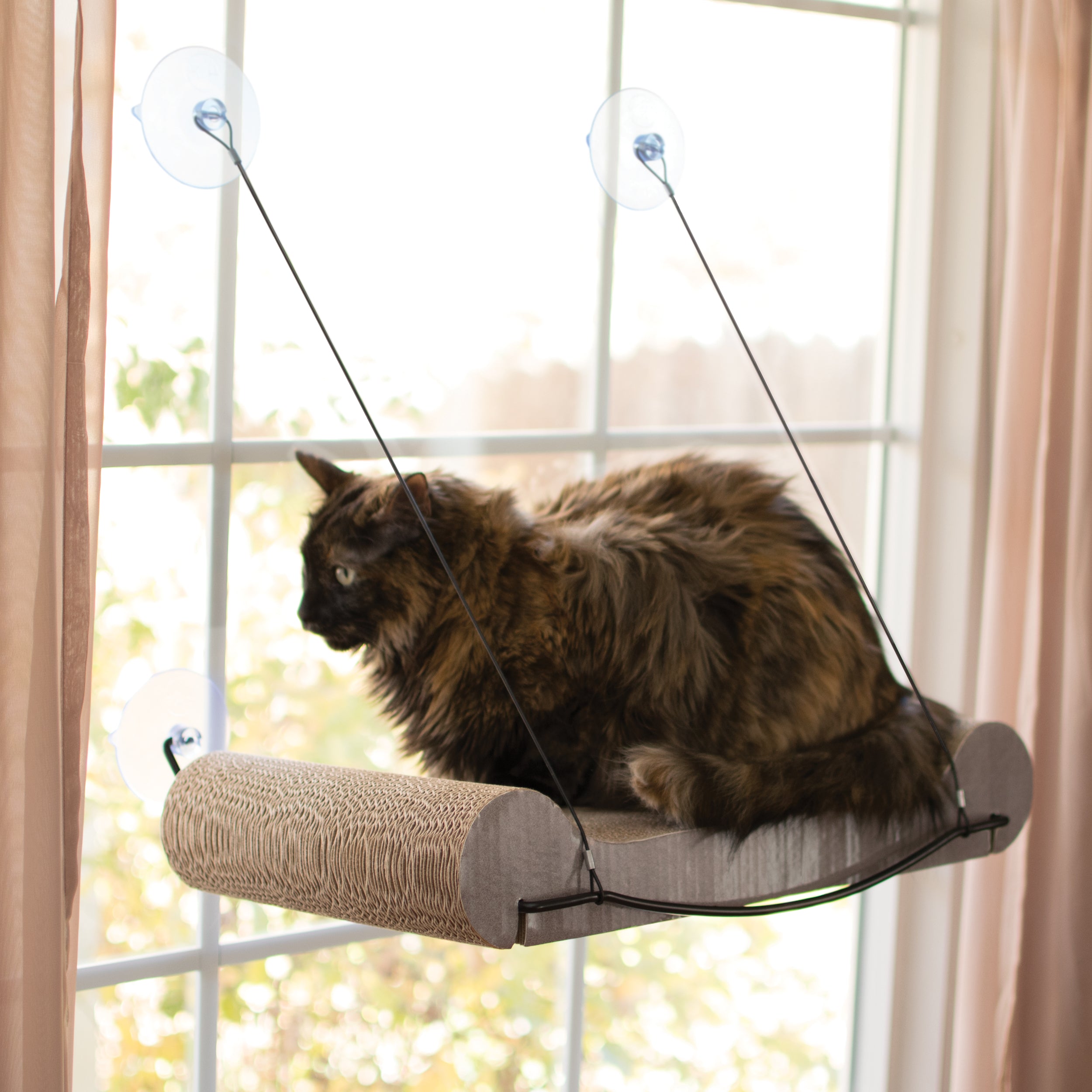 k-h-ez-mount-kitty-sill-griffoir-fen-tre-chat-carton image 1