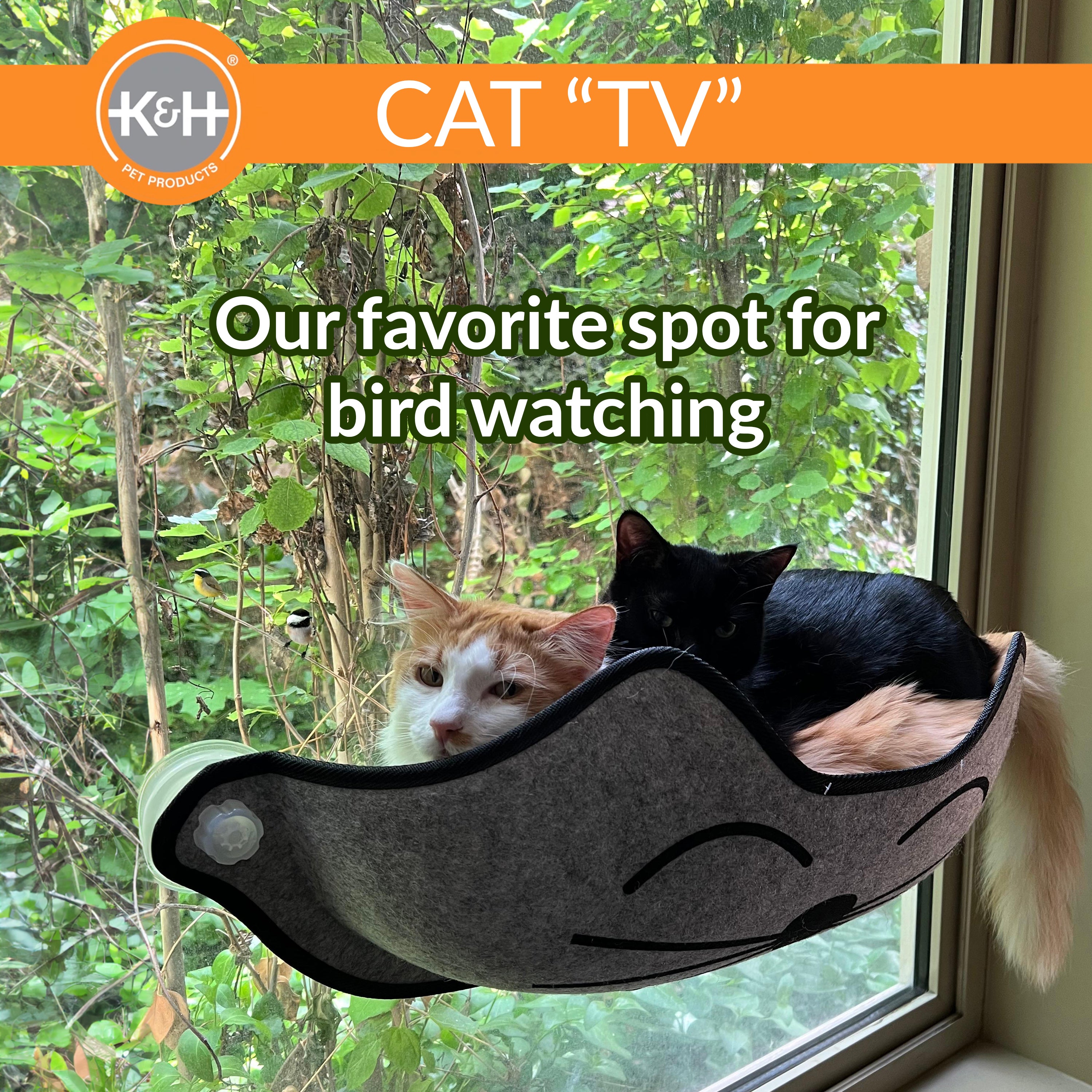 k-h-ez-mount-kittyface-lit-fen-tre-chat-gris-ventouse image 3