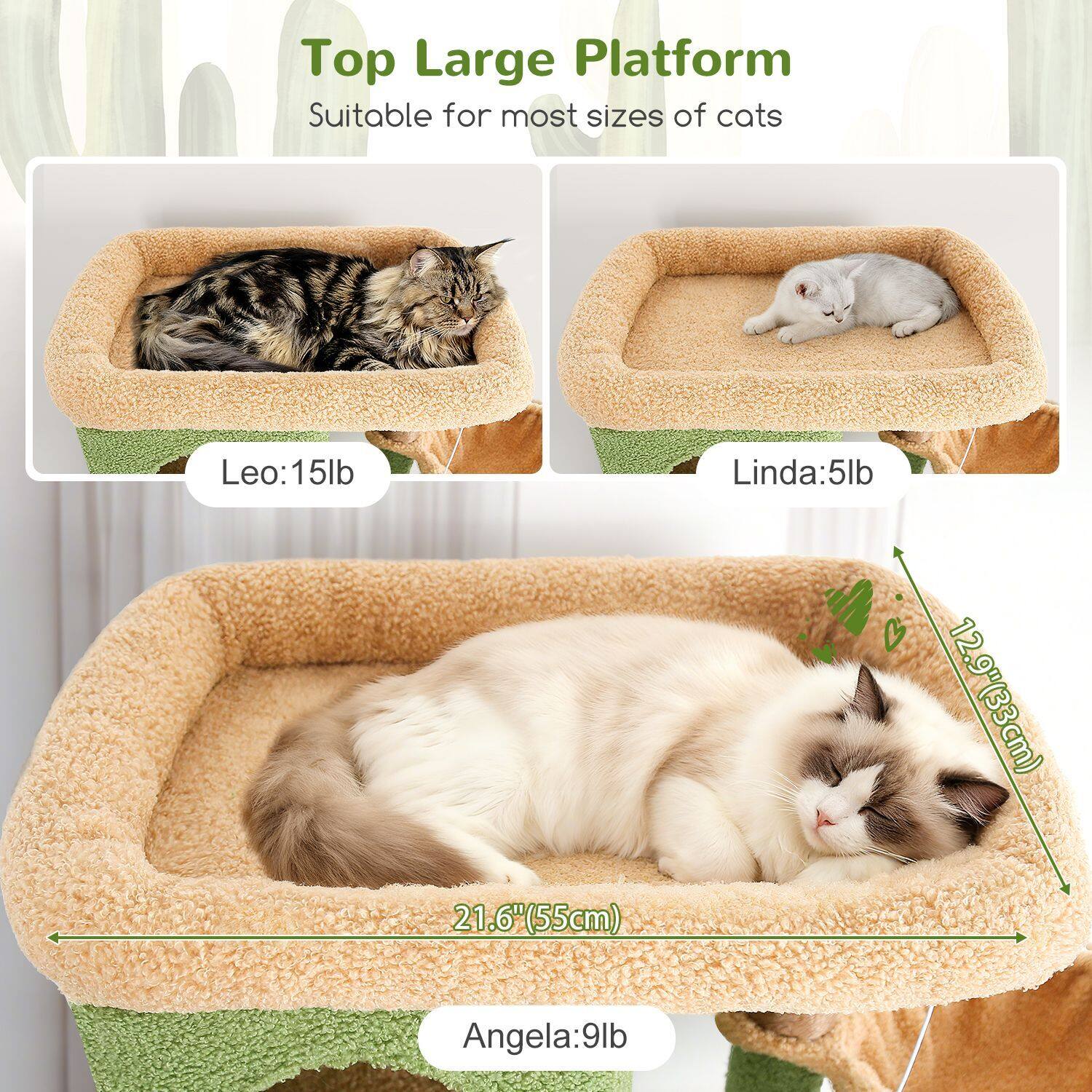 globlazer-f-series-f80f-arbre-chat-vert-cactus-80-pouces-grand image 3