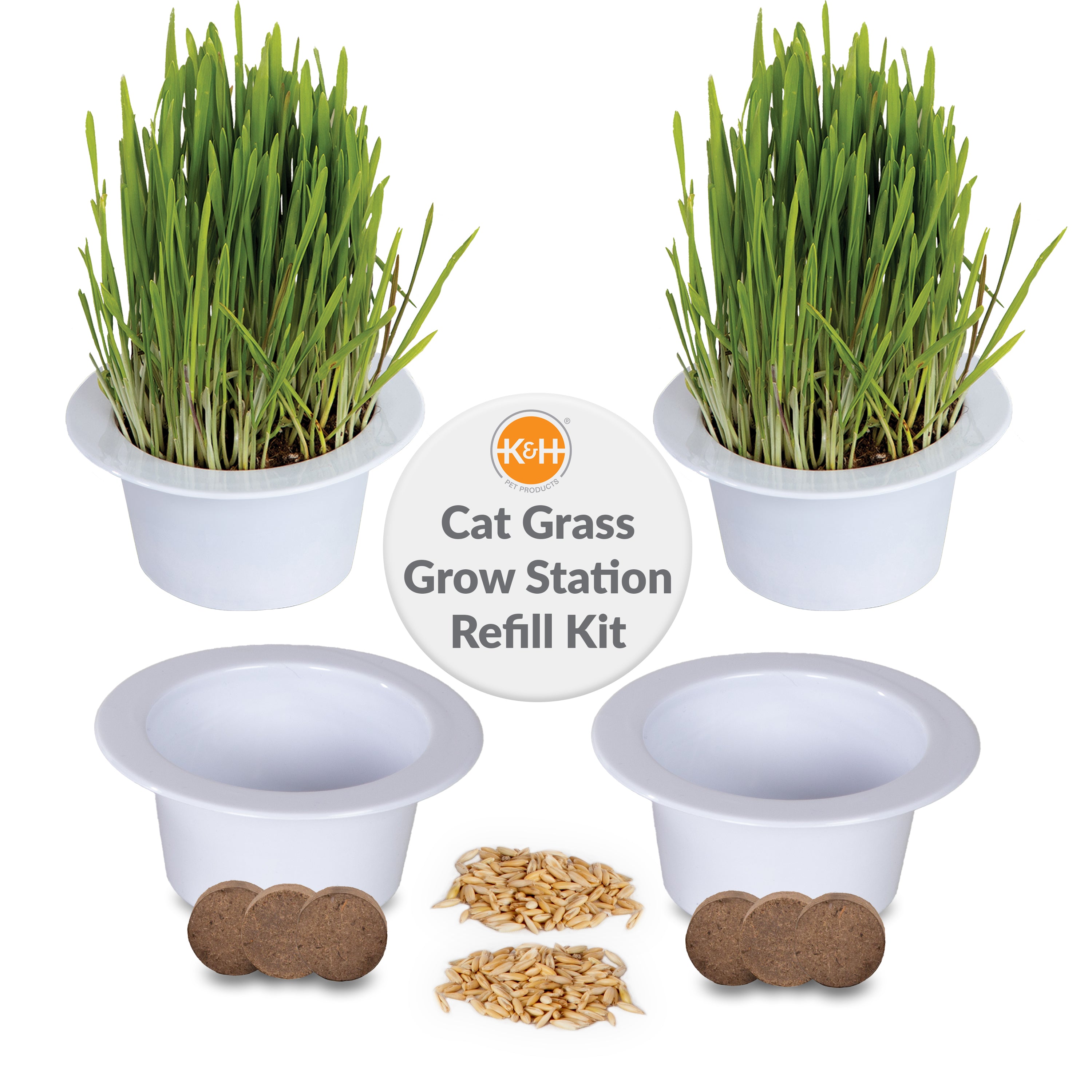 k-h-cat-grass-grow-station-recharge-herbe-chat-avoine-lot-2 image 1