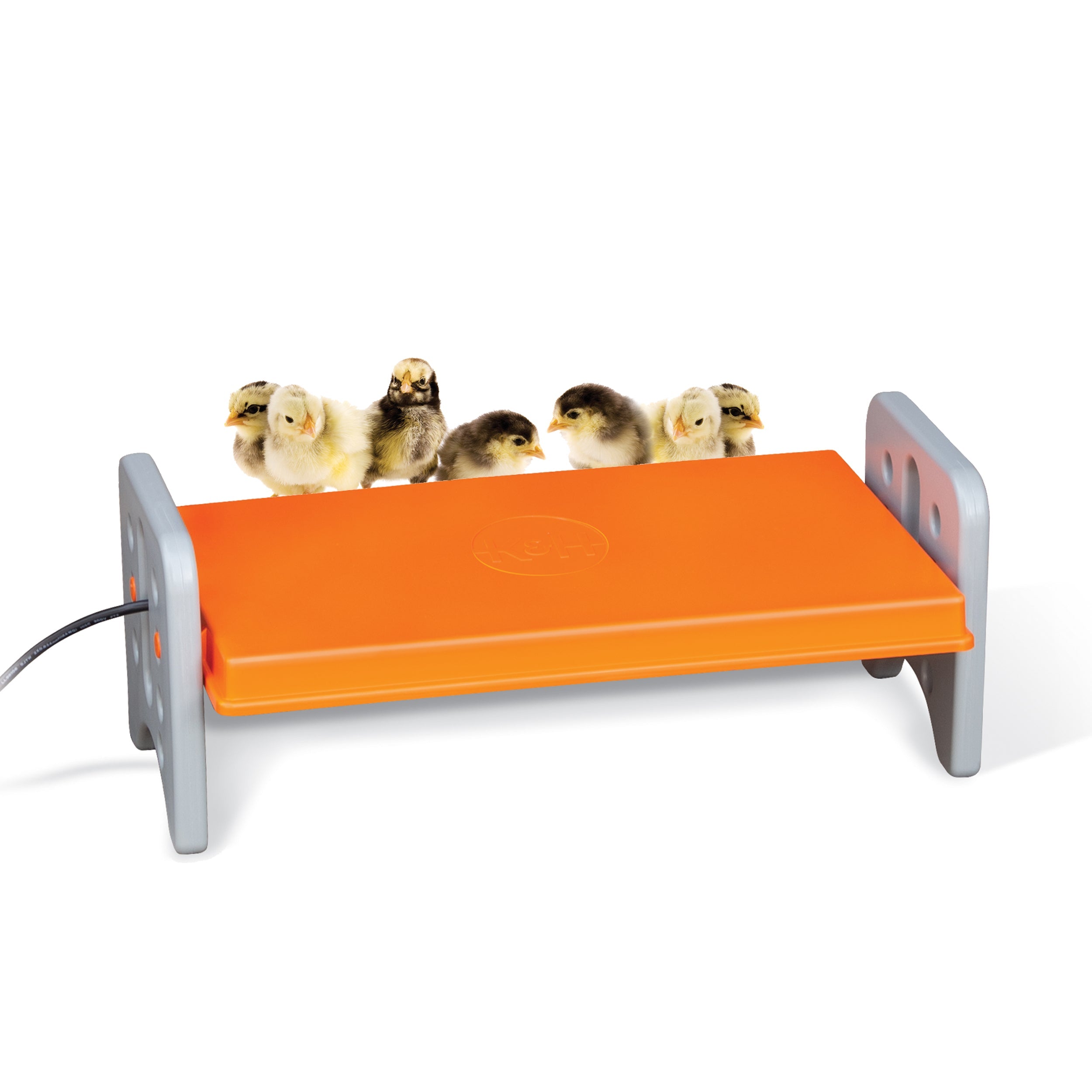 k-h-thermo-poultry-brooder-panneau-chauffant-poussins-small-25w image 2