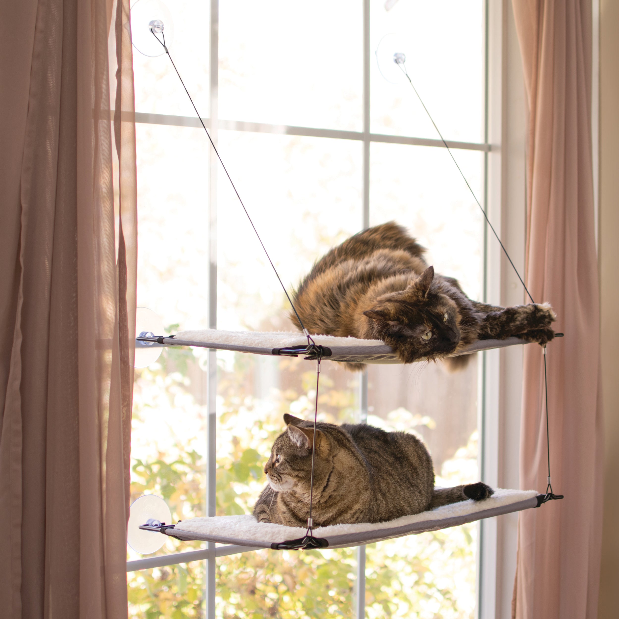 k-h-window-lounger-kitty-sill-hamac-chat-fen-tre-simple-50-livres image 8