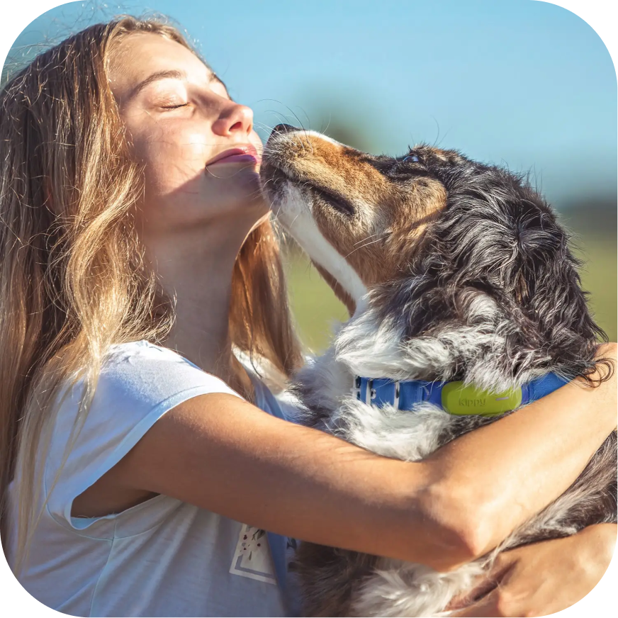 kippy-dog-traceur-gps-chien-l-ger-30g-tanche image 3
