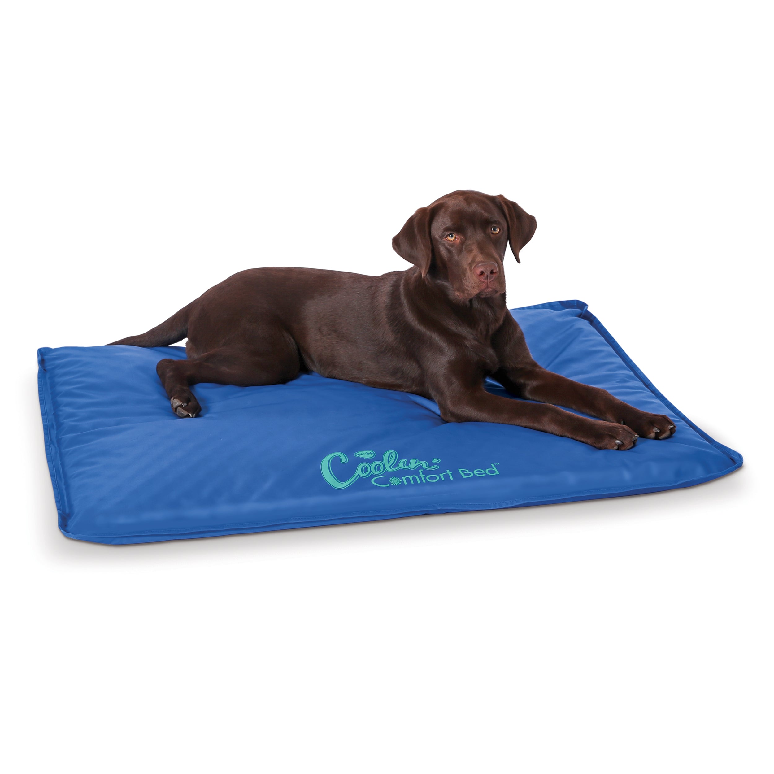 k-h-coolin-comfort-tapis-rafra-chissant-chien-large image 1