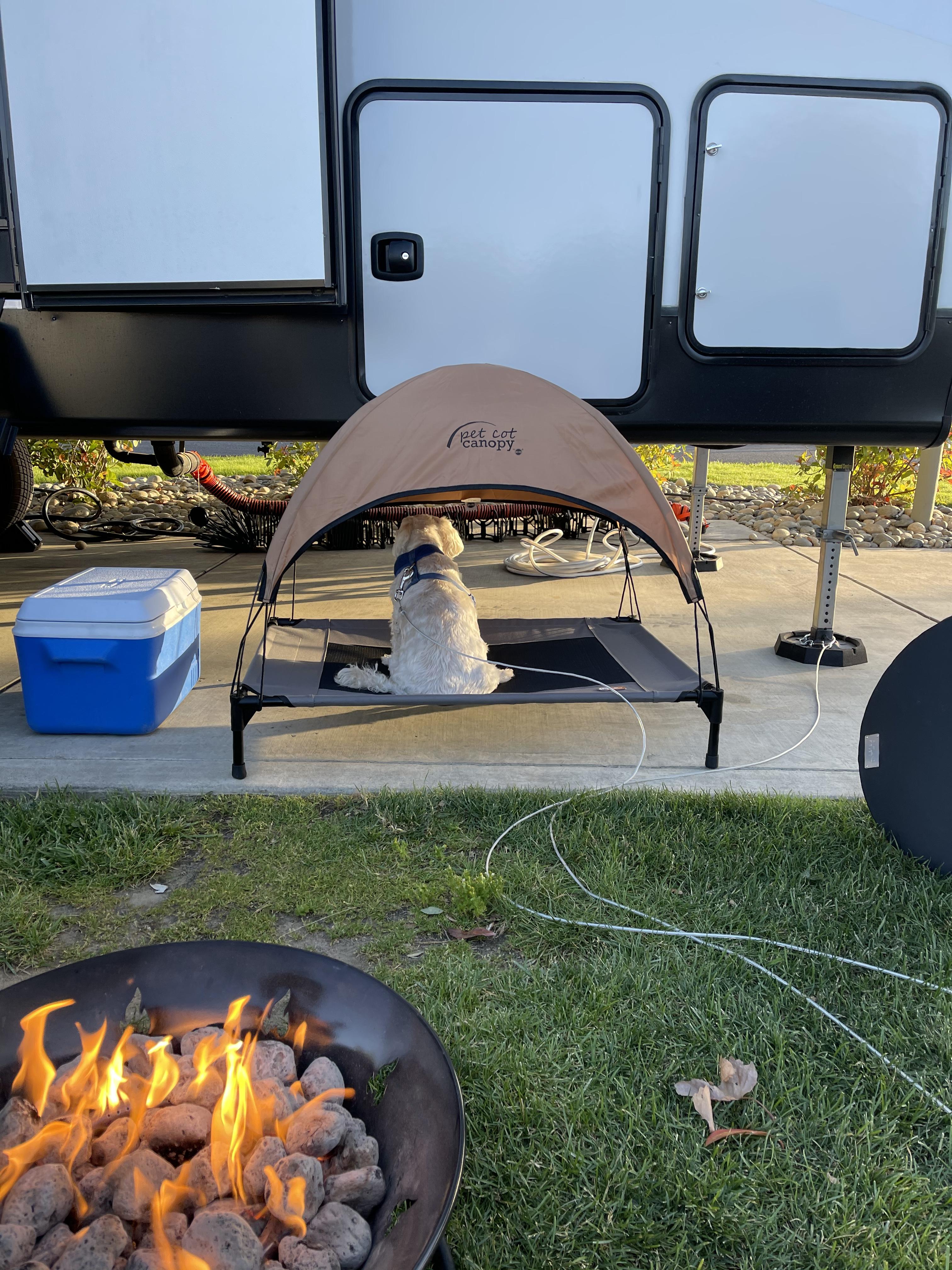 Pratique en camping