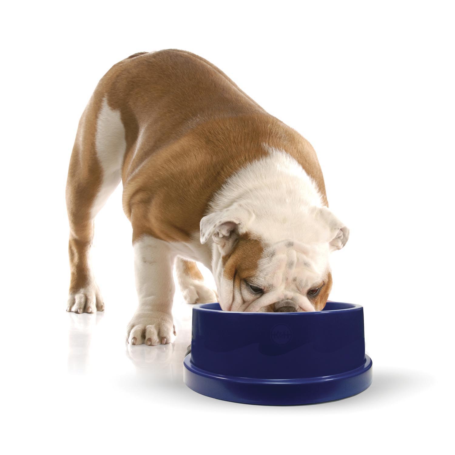 k-h-coolin-bowl-gamelle-rafra-chissante-chien-96oz-bleu image 1