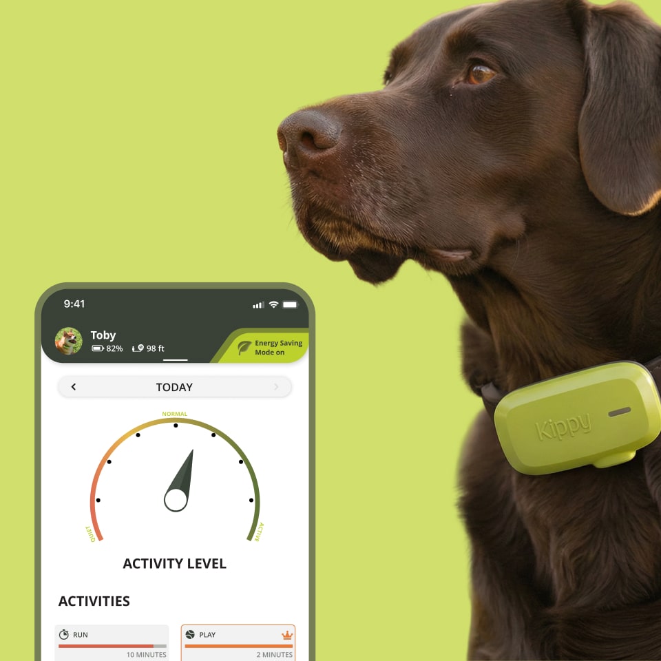 kippy-dog-traceur-gps-chien-l-ger-30g-tanche image 4