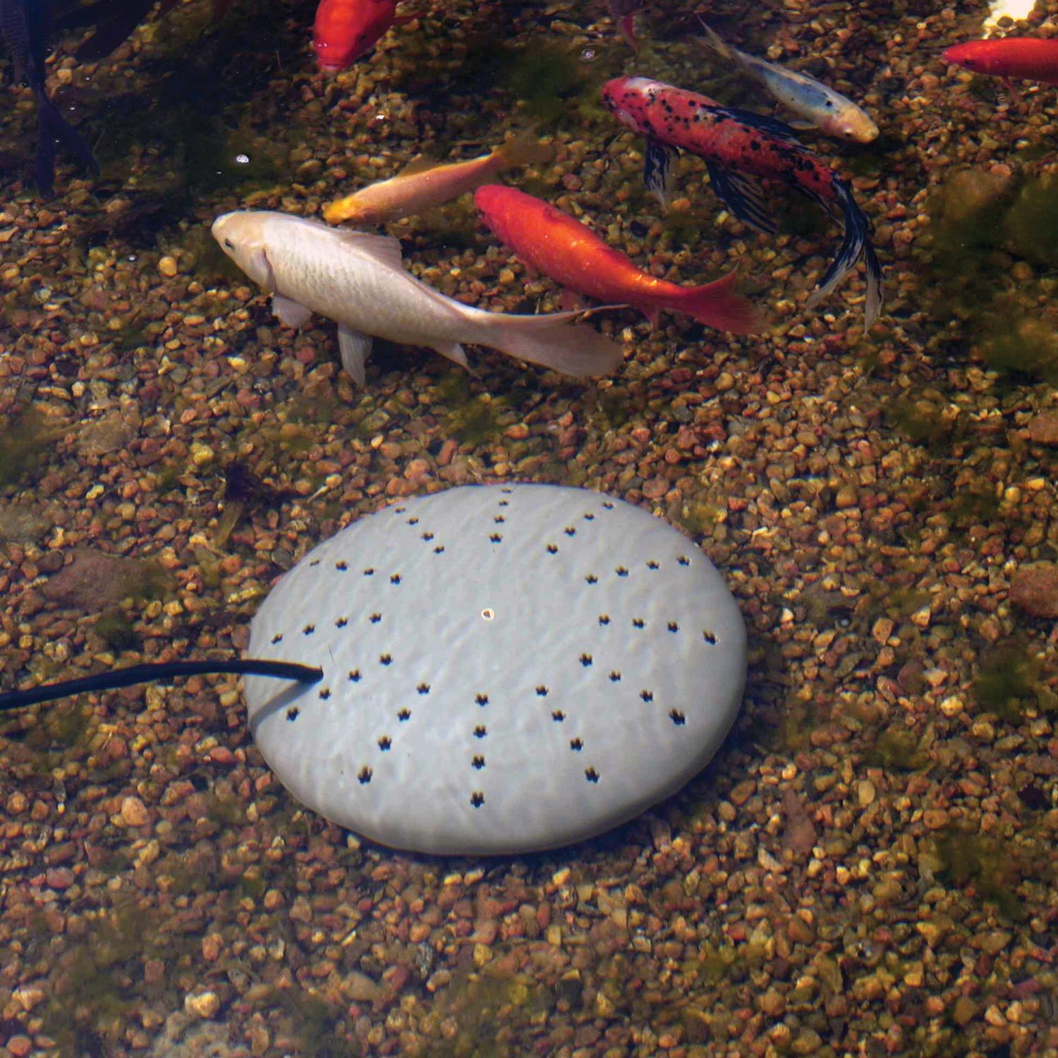 k-h-pond-d-givreur-bassin-submersible-300w-thermostat image 2